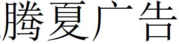 （山西）运城 腾夏广告